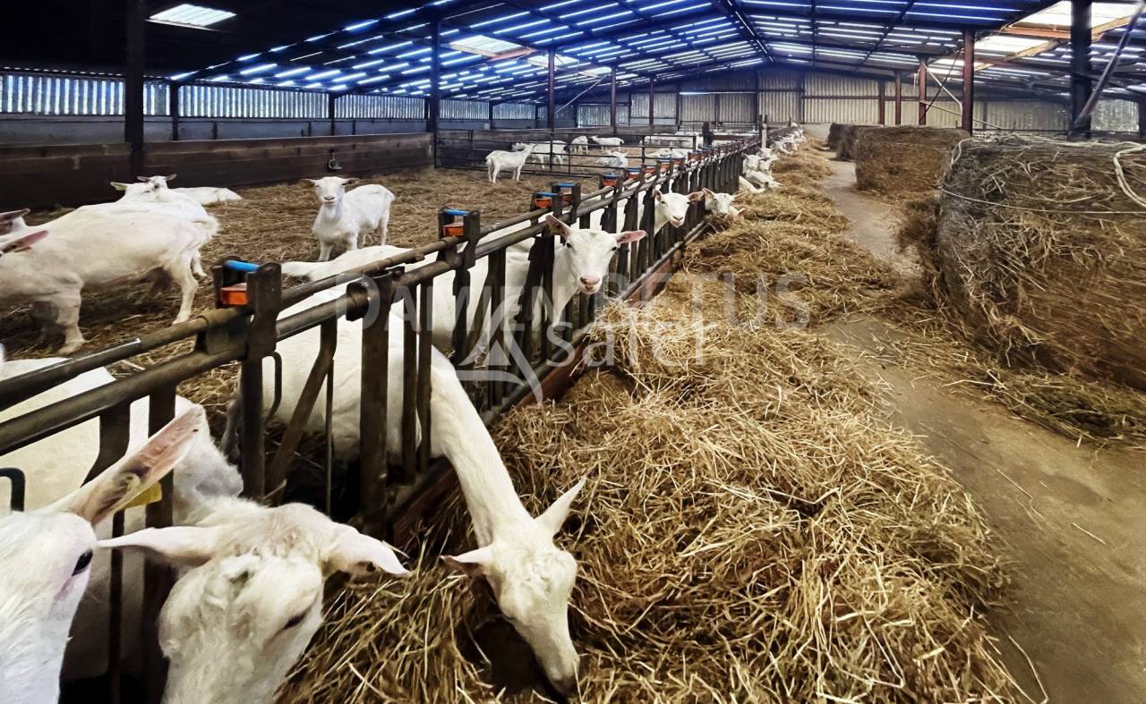 Explotaci&oacute;n agr&iacute;cola En venta Vend&eacute;e