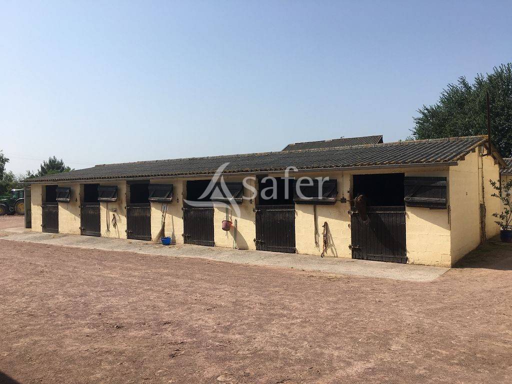 Propiedad ecuestre En venta Calvados