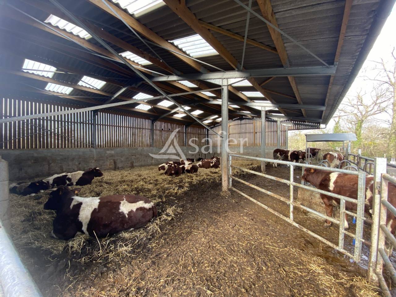 Propiedad ecuestre En venta Calvados