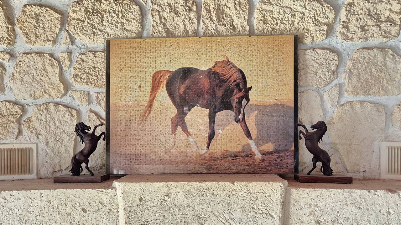 Propiedad ecuestre En venta Essonne