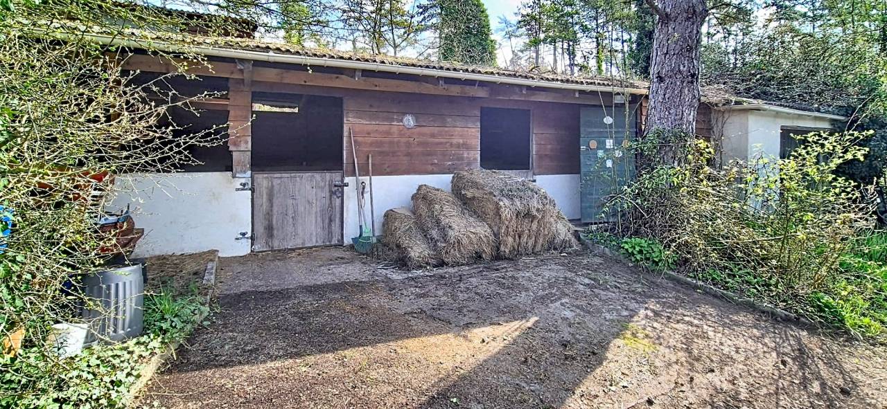 Propiedad ecuestre En venta Essonne