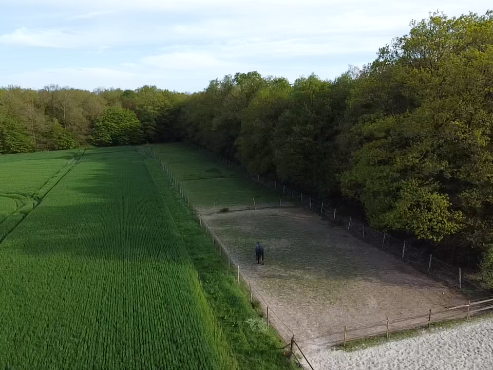 Propiedad ecuestre En venta Eure