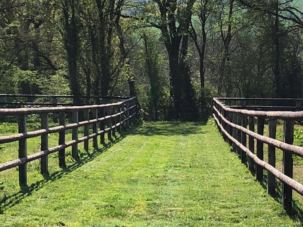 Acaballadero En venta Orne