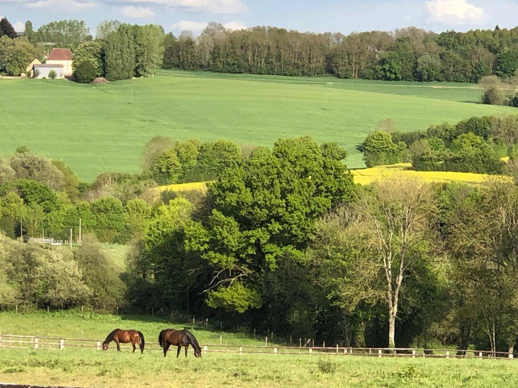 Acaballadero En venta Orne