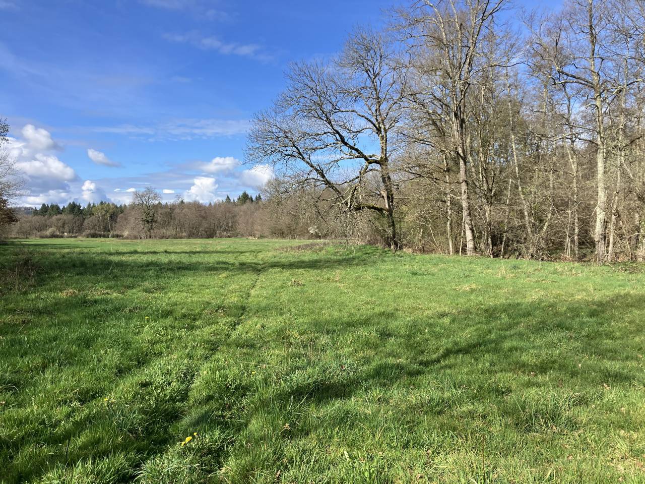 Centro ecuestre En venta Puy-de-D&ocirc;me