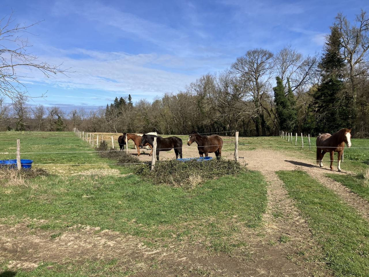 Centro ecuestre En venta Puy-de-D&ocirc;me