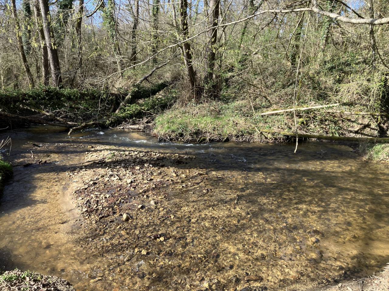 Centro ecuestre En venta Puy-de-D&ocirc;me