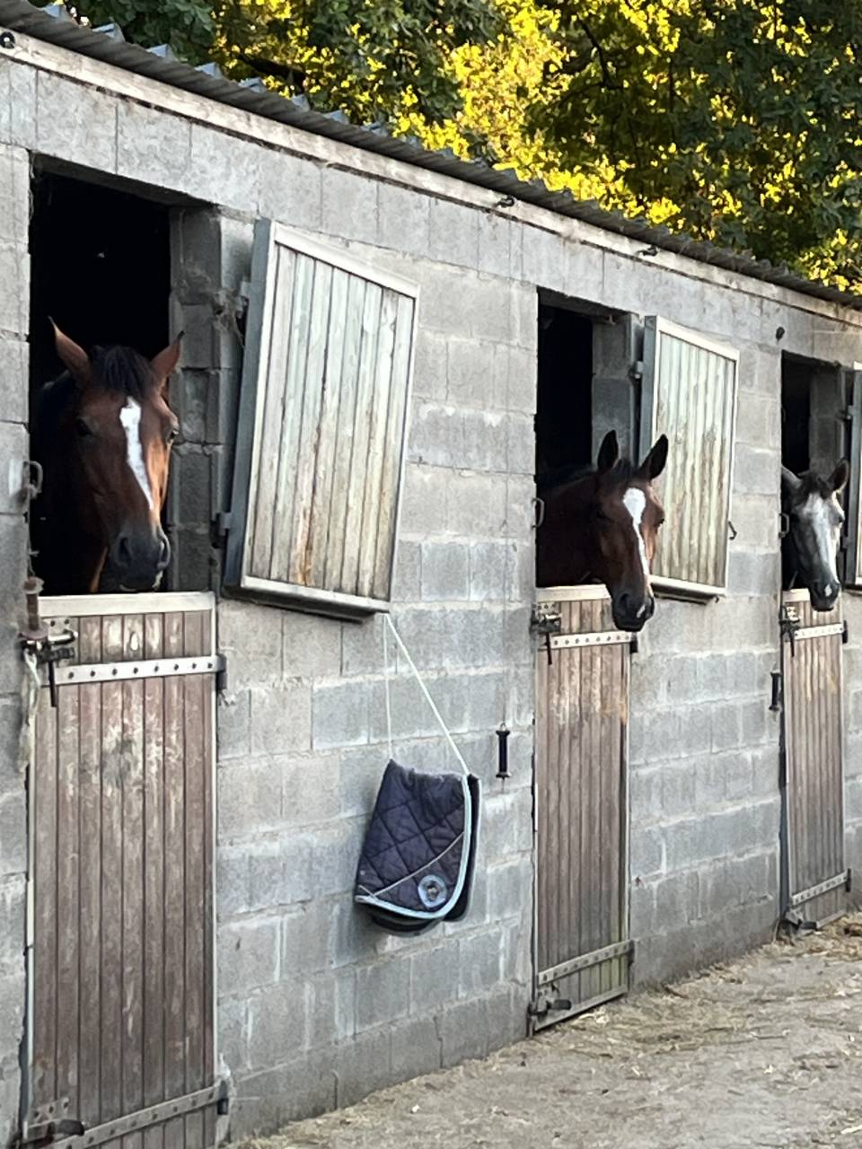 Aprendiz - Aprendiz Medio tiempo - Calvados Francia
