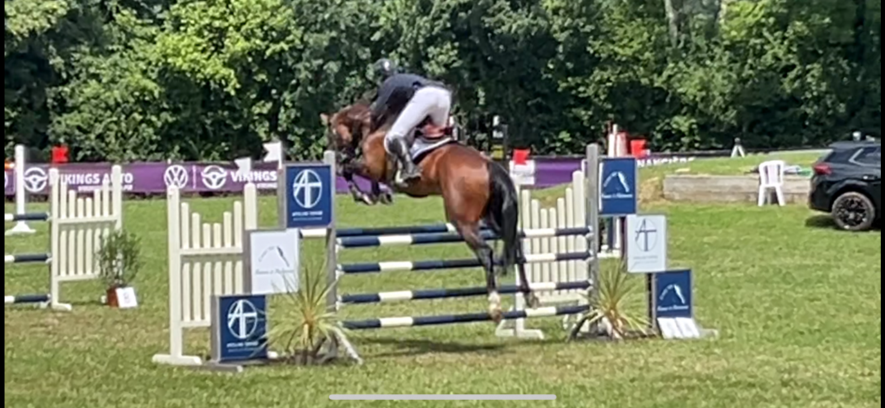 Aprendiz - Aprendiz Medio tiempo - Calvados Francia