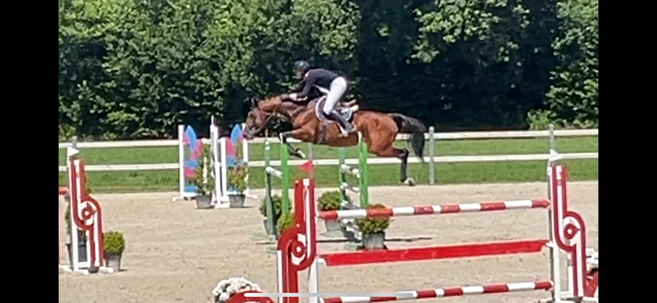 Aprendiz - Aprendiz Medio tiempo - Calvados Francia