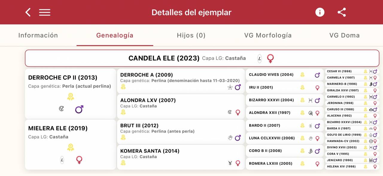 POTRA PRE BAYA OSCURA