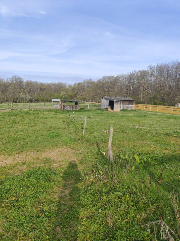 Cuadra de propietarios En venta Loir y Cher