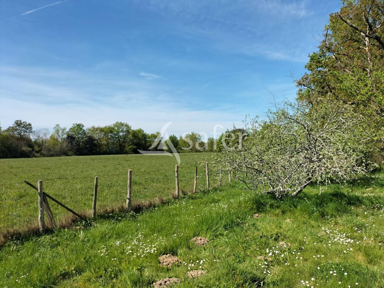 Explotaci&oacute;n agr&iacute;cola En venta Vend&eacute;e