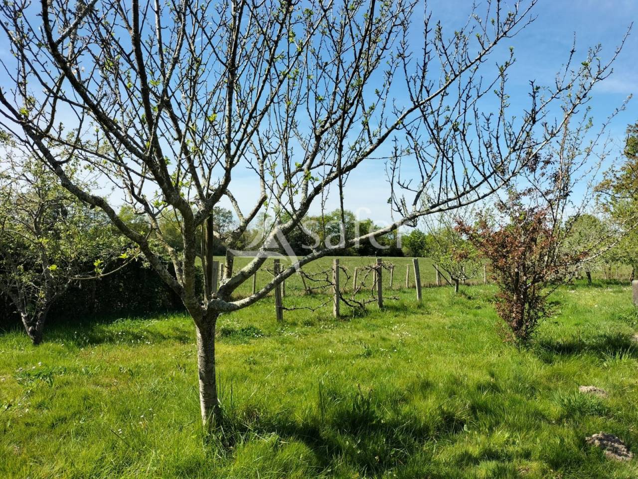 Explotaci&oacute;n agr&iacute;cola En venta Vend&eacute;e