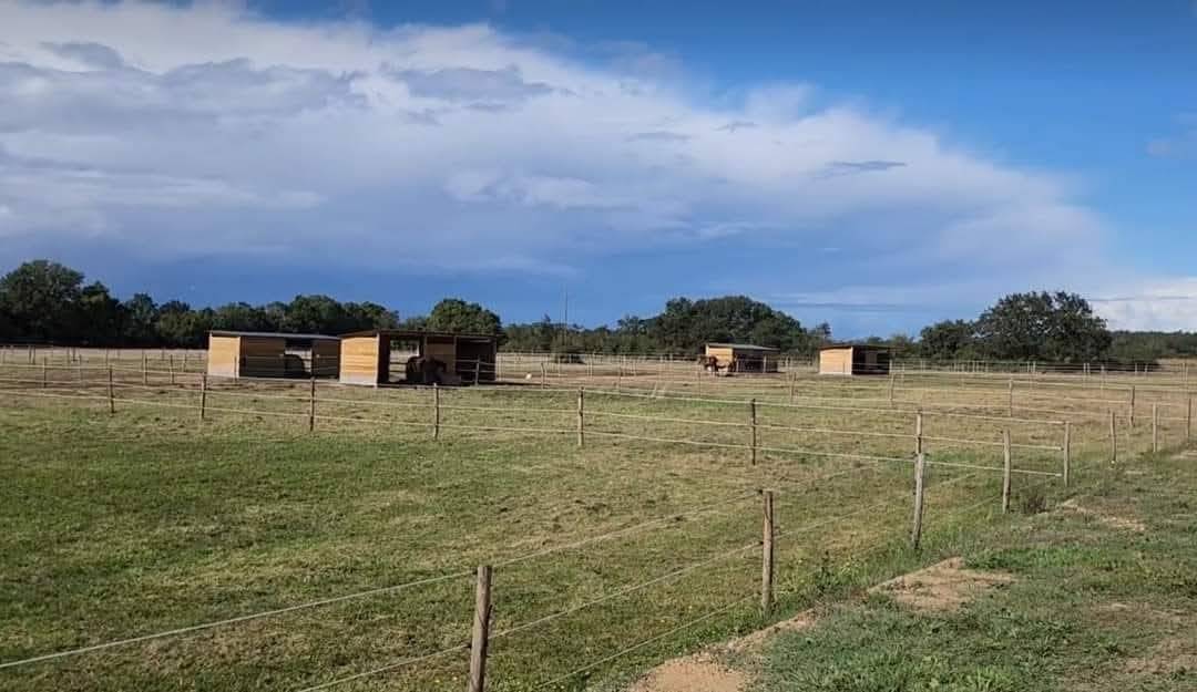 Propiedad ecuestre En venta Maine y Loira