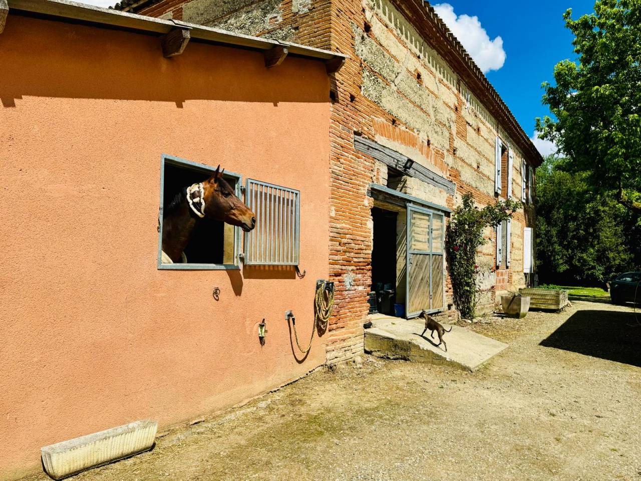 Propiedad ecuestre En venta Tarn y Garona