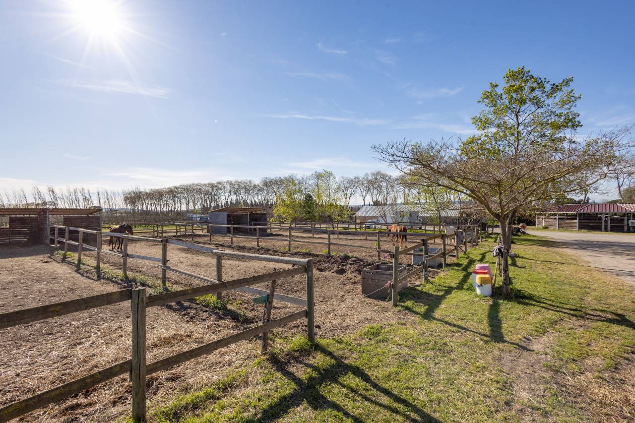 Cuadra de propietarios En venta H&eacute;rault