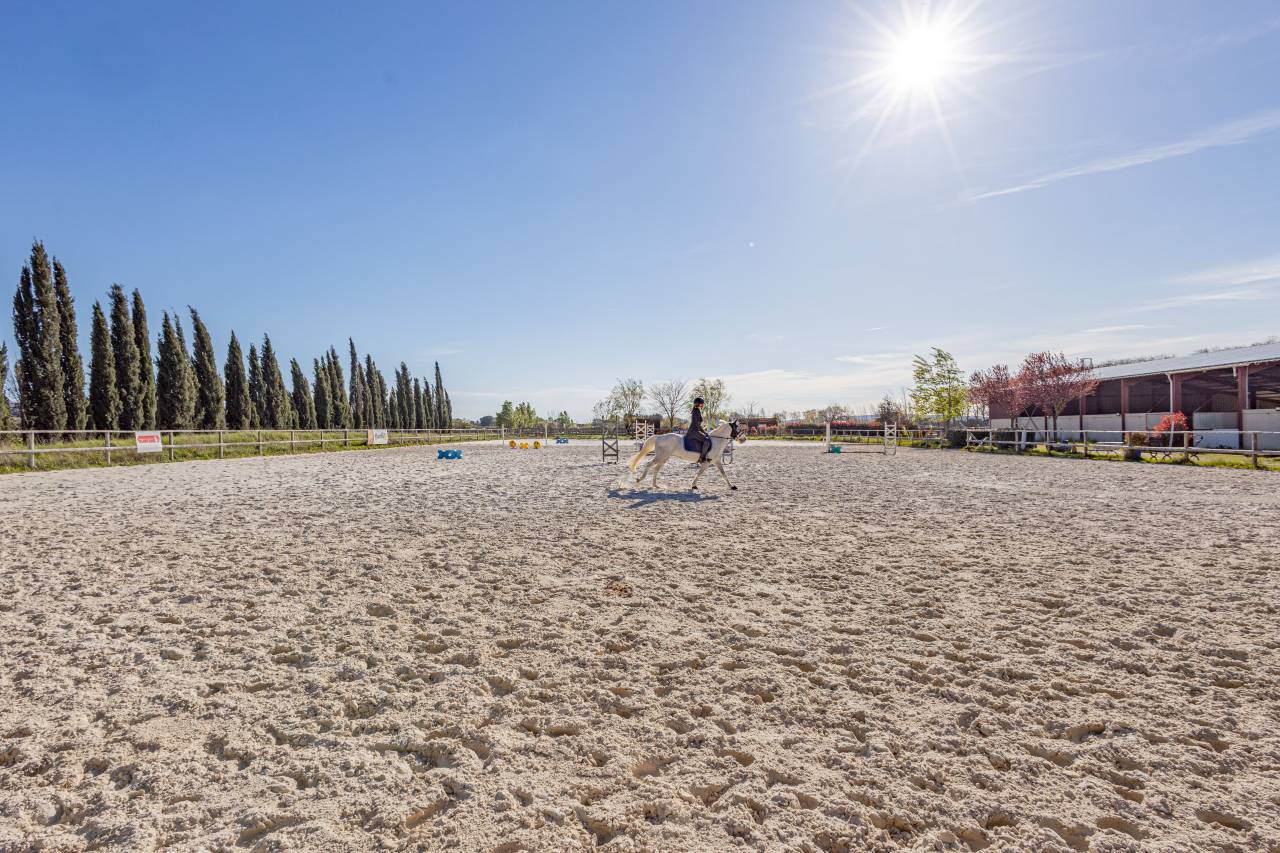 Cuadra de propietarios En venta H&eacute;rault