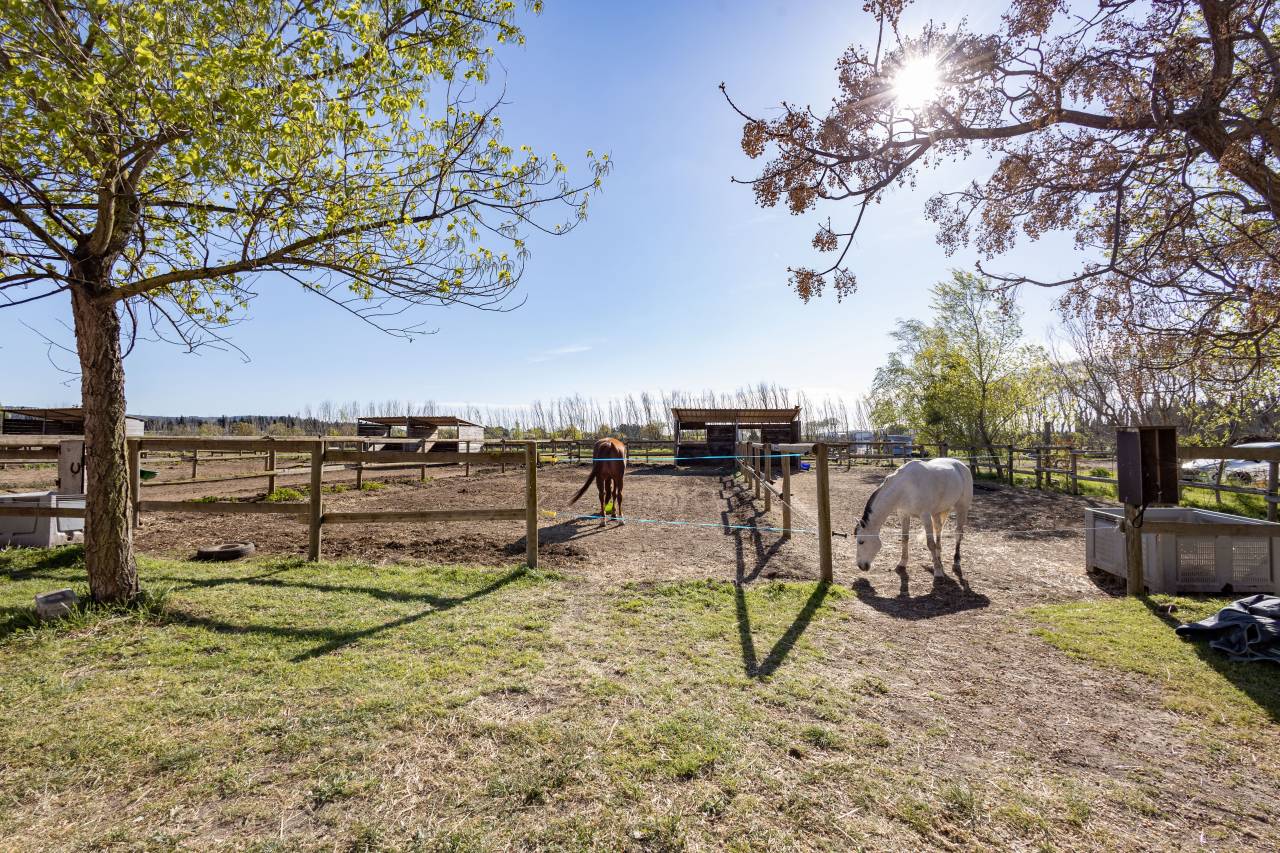 Cuadra de propietarios En venta H&eacute;rault