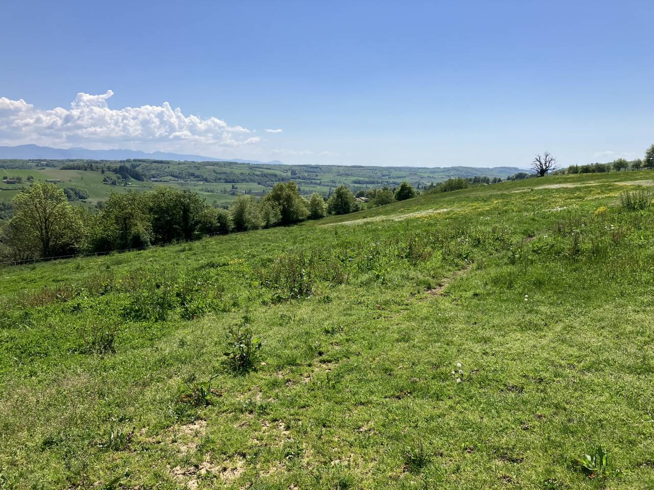 Acaballadero En venta Dr&ocirc;me