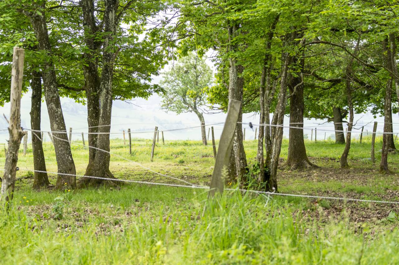 Acaballadero En venta Dr&ocirc;me