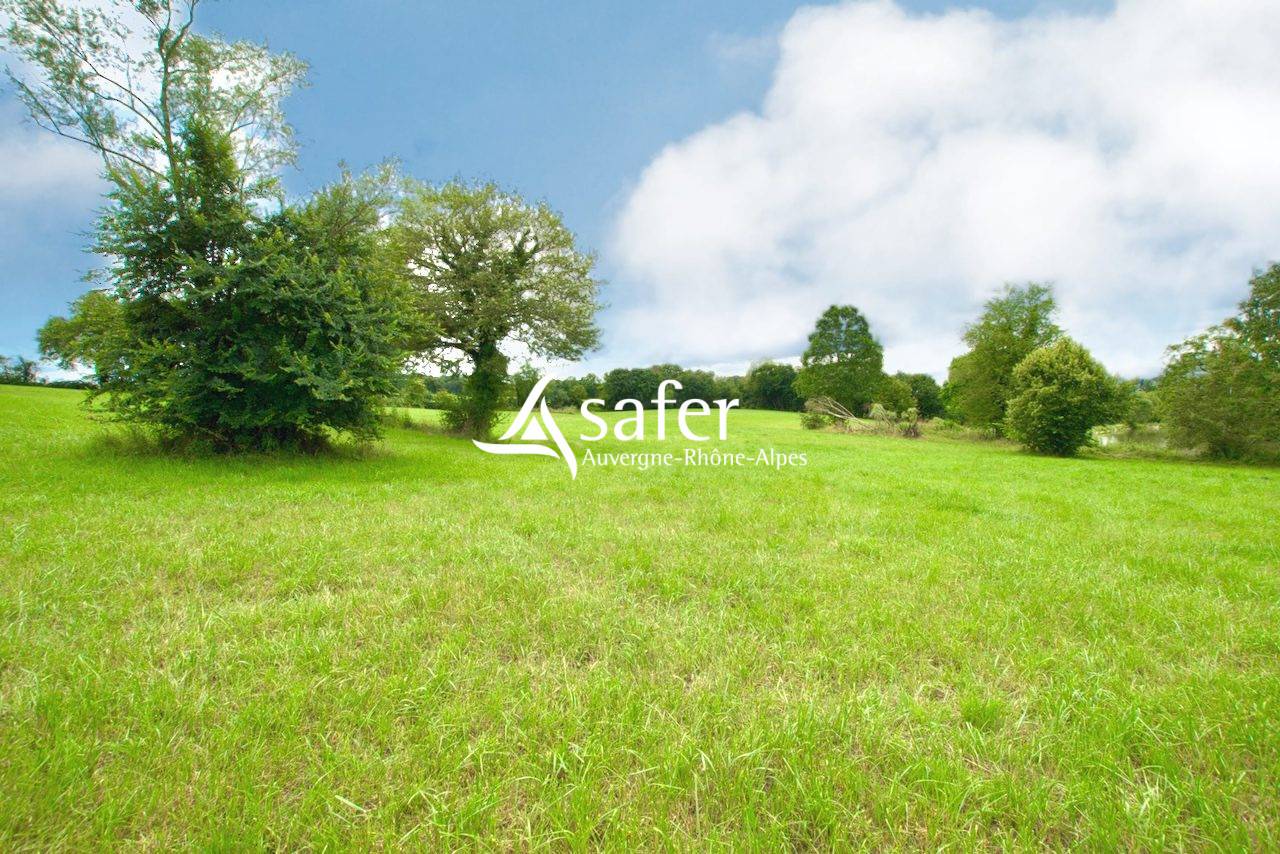 Propiedad rural En venta Ain