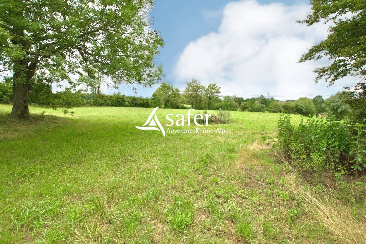 Propiedad rural En venta Ain