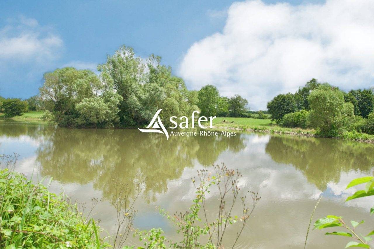 Propiedad rural En venta Ain