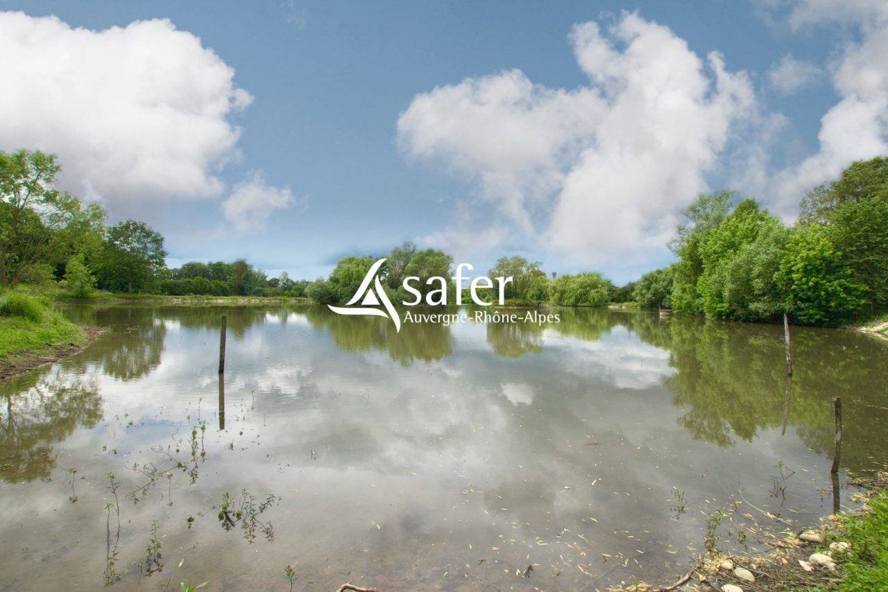 Propiedad rural En venta Ain