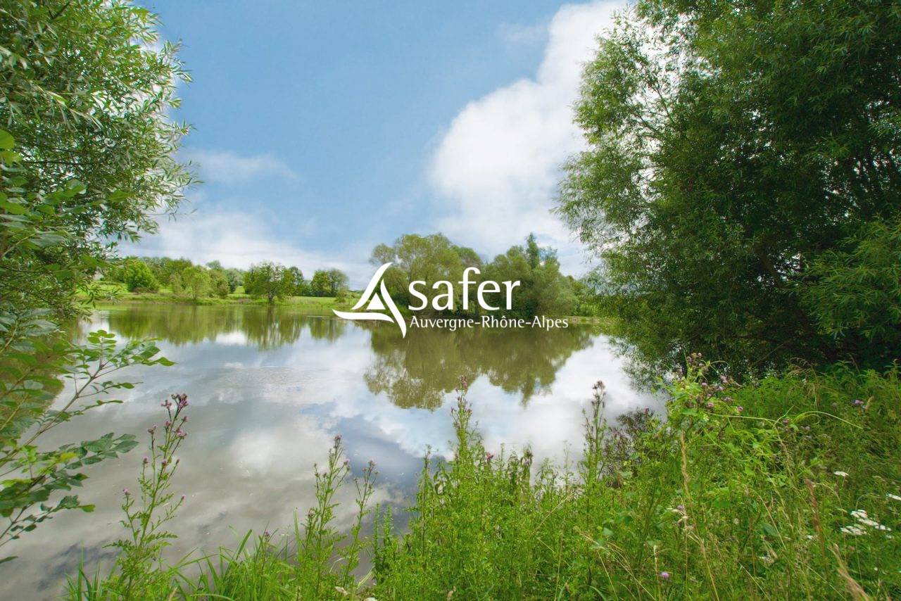 Propiedad rural En venta Ain