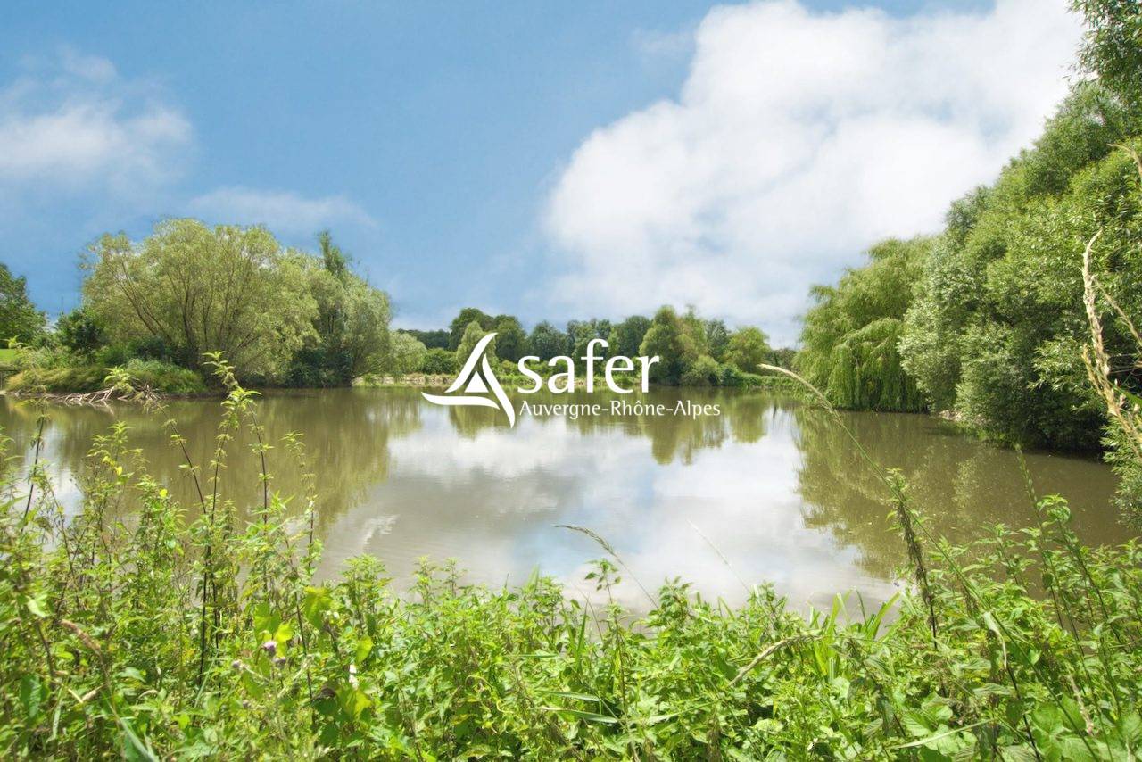 Propiedad rural En venta Ain