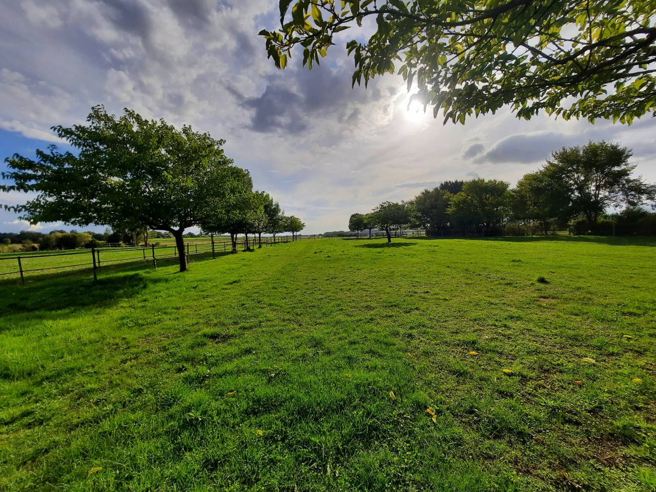 Bonita residencia ecuestre En venta Charente Mar&iacute;timo