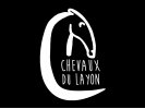 chevauxdulayon